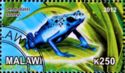 Dendrobates azureus