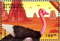 Common Ostrich (Struthio camelus)