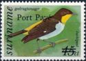 Yellow-backed Tanager (Hemithraupis flavicollis) - Overprint