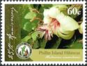 Philip Island Hibiscus (Hibiscus insularis)