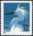 Snowy Egret (Egretta thula)