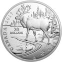 20 Dollars (Paw prints on the Edge: Woodland Caribou)