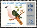 Pacific Dove (Ducula pacifica)