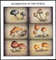 Mushrooms of the World