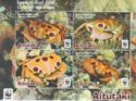 Spotted Reef Crab (Carpilius maculatus)