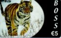 Boss (Tiger)