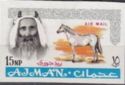 Sheik Rashid and Arabian Horse (Equus ferus caballus)
