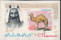 Sheik Rashid and Dromedary (Camelus dromedarius)