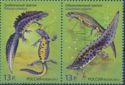 Joint Issue of Russia and Belarus - Newts