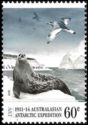 Weddell Seal and Antarctic Petrel