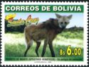 Maned Wolf (Chrysocyon brachyurus)