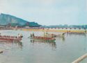 Taiwan dragon boats