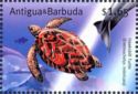 Hawksbill Turtle