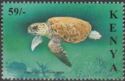 Loggerhead Sea Turtle (Caretta caretta)