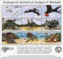 Endangered Animals of Antigua & Barbuda