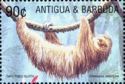 Linneaus's Two-toed Sloth (Choloepus didactylus)