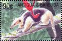 Southern Tamandua (Tamandua tetradactyla)