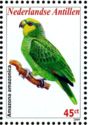 Orange-winged Parrot (Amazona amazonica)