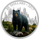 20 Dollars (Majestic Animals: The Bold Black Bear)