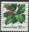 American Holly