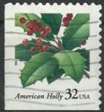 American Holly