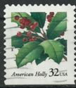 American Holly