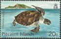 Green Sea Turtle (Chelonia mydas) and Pitcairn island