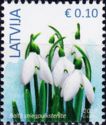 White Snowdrop (Galanthus nivalis)