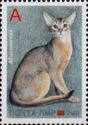 Abyssinian