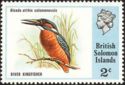 River Kingfisher (Alcedo atthis salomonensis)