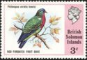 Red-throated Fruit Dove (Ptilinopus viridis lewisi)