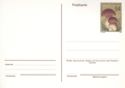 Standard Postal Card - Mushrooms