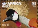Grey Crowned Crane (Balearica regulorum)