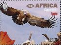 Cape Vulture (Gyps coprotheres)