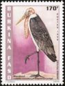 Marabou Stork (Leptoptilos crumeniferus)
