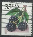 Fruit Berries: Blackberries