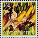 Corn (Zea mays)