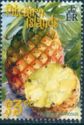 Pineapple (Ananas comosus)