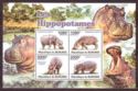 Hippopotamus (Hippopotamus amphibius)
