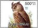 Eurasian Eagle-owl (Bubo bubo)