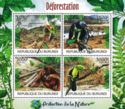 Desforestation
