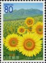 Sunflowers & Yatsugatake Mountains