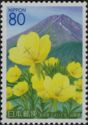 Large-flowered evening Primroses & Mount Fuji