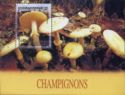Amanita Phalloides