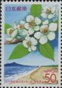 Blossoms of Japanese Pear & Yumigahama Beach - Tottori