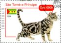 American Shorthair (Felis silvestris catus)