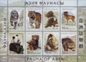 Fauna of Asia (2008)