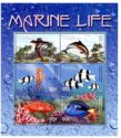 Marine Life and Birds