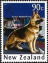 German Shepherd (Canis lupus familiaris)