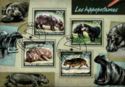 Hippopotamuses